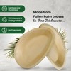 ECO Leaf | 25 Pack Oval Disposable Palm Leaf Plates