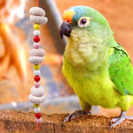 Jinkoozz Bird Chewing Toys, Parrot Beak Grinding Sea ​​Urchin Toy, Bird Cage Accessories, Cage Toys for Cockatiel Parakeet Parrot Budgies Rat Hamster Chinchilla Rabbit Bunny African Grey