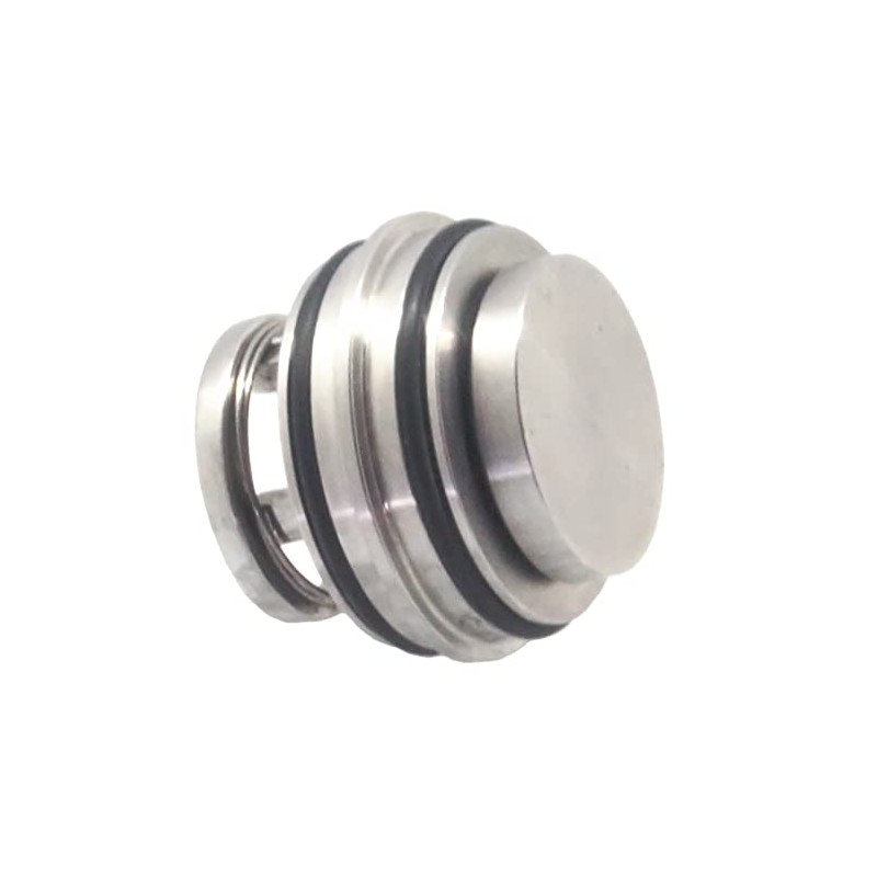 QiiMii Stainless 316L Insert Check Valve Inline Non Return Valve