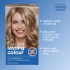 Clairol Lasting Colour Permanent Hair Dye | Perfect Grey Coverage