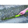 Azuma Industrial Moss Removal Brush, Stainless Steel Brush, For Cleaning