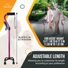 VIVA CARE Walking Cane with 4 Prongs & Extra Handle