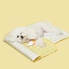 PETHROOM [PESROOM] Safe Cool Gel Mat 2.0 (S) Dog Cat