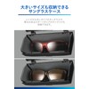 Carmate DZ574 Car Storage Sunglasses Case, Glasses Holder, Compatible with