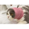 DDFS Ear Wrap Cat (6 Pack), Dedication Cat Ear Cover