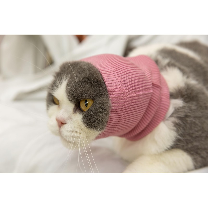 DDFS Ear Wrap Cat (6 Pack), Dedication Cat Ear Cover
