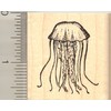 Jellyfish Rubber Stamp, Jellies, Free-Swimming Marine Animals