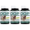 DGP 3-Pack, All-Natural Joint Supplement for Dogs - Joint Support