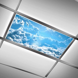 DIQISHIZHU Fluorescent Light Covers for Classroom Office - 2ft x 4ft LED Light Filters, Eliminate Harsh Glare & Eyestrain, Decorative Classroom Light Covers, Light Diffuser Panel.cloud