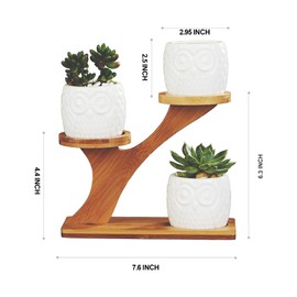 FLOWERPLUS Planter Pots Indoor, 3 Pack 3 Inch White Ceramic Decorative Small Owl Succulent Cactus Flower Plant Pot with Tree Tier Bamboo Stand for Garden Kitchen Home Office Desk Decorations
