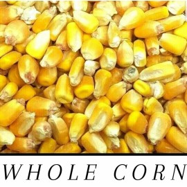 Unbranded Whole Raw/Re-CLEANED Corn Animal Feed or Arts & Crafts Choose Size RESEALABLE - 18 Pounds