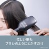 Panasonic EH-HS31-K Straight Ionity Brush Iron, Negative Ion, International Compatible,