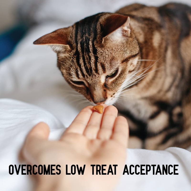 ACTIVPHY Hip + Joint Mobility Collar for Cats with Glucosamine,