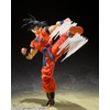 TAMASHII NATIONS - Dragon Ball Z - Son Goku's Effect