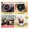 Dried Elderberries - 1lb Bulk - Hand-Sorted, Wildcrafted, Natural, Non-GMO,