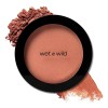 Wet n Wild Set Color Icon Blush Con Brocha Wet