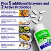 AbsorbAid Platinum Digestive Enzyme Support 60 vCaps, 12 Digestive Enzymes
