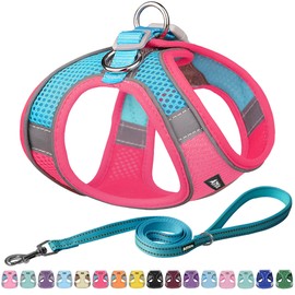 AIITLE Small Harness with Lead - Dog Vest with Super Breathable Mesh, Reflective Puppy Harness for Outdoor Walks for Small Dogs, Cats, Bright Pink, XXS
