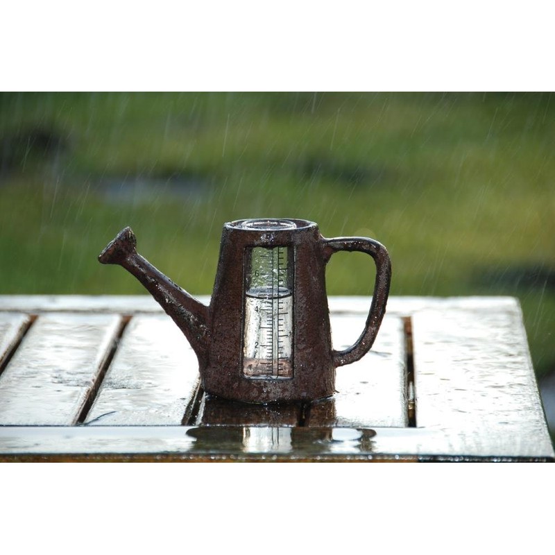 Esschert Design TH67 Rain Gauge - Watering Can & Pump