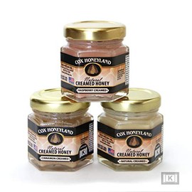 Cox Honeyland and Gifts 2 oz Honey Jar Trio Gift Box (3 Jar Honey Gift Pack)