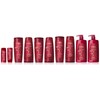 L'Oreal Paris Hair Expertise Color Radiance Shine Reviver Treatment, 150