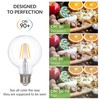 Simba Lighting LED Edison Vintage Vanity Globe Filament G25 (G80)