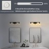 Ruibutrade Bathroom Light Fixtures, 4-Light Black Vanity Light with Hand-Blown