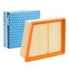 Purflux A1315 Air Filter