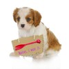 Kunhe Pet Dog Cat Feeding Scooping Can Tin Food Fork