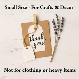 LWR Crafts Craft Wooden Small Clothespins, 1.9 inches (4.8 cm) Length, Pack of 50 (Natural)