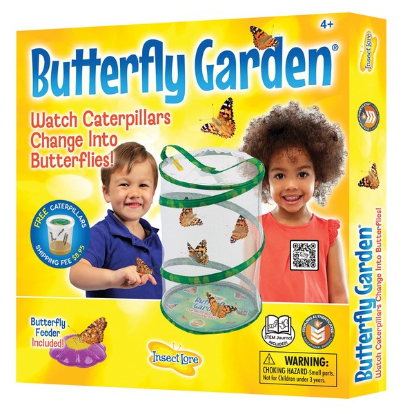 Insect Lore - Butterfly Growing Kit - With Voucher to Redeem Caterpillars Later