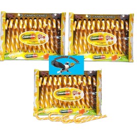 Orange Creamsicle Candy Canes 36 Count Perfect For Christmas Holiday Stocking Stuffers - Includes PITCHING PIGEON Brand Magnet