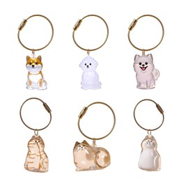 6Pcs Pet Hair Storage Bottles, Pet Commemorative Keychains, Transparent Cat and Dog Commemorative Bottles, Suitable for Portable Gifts Such as Festival Presents, Prayers, and Collections (6pcs set)