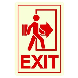 Bidesign (12x8) IN Exit Sign Glow in the Dark Illuminated Photoluminescent Exit Vertical Projecting Sign Use For Home Office Hallway Business PVC Outdoor Indoor Decorations