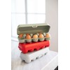 EGGS TO GO egg box Green