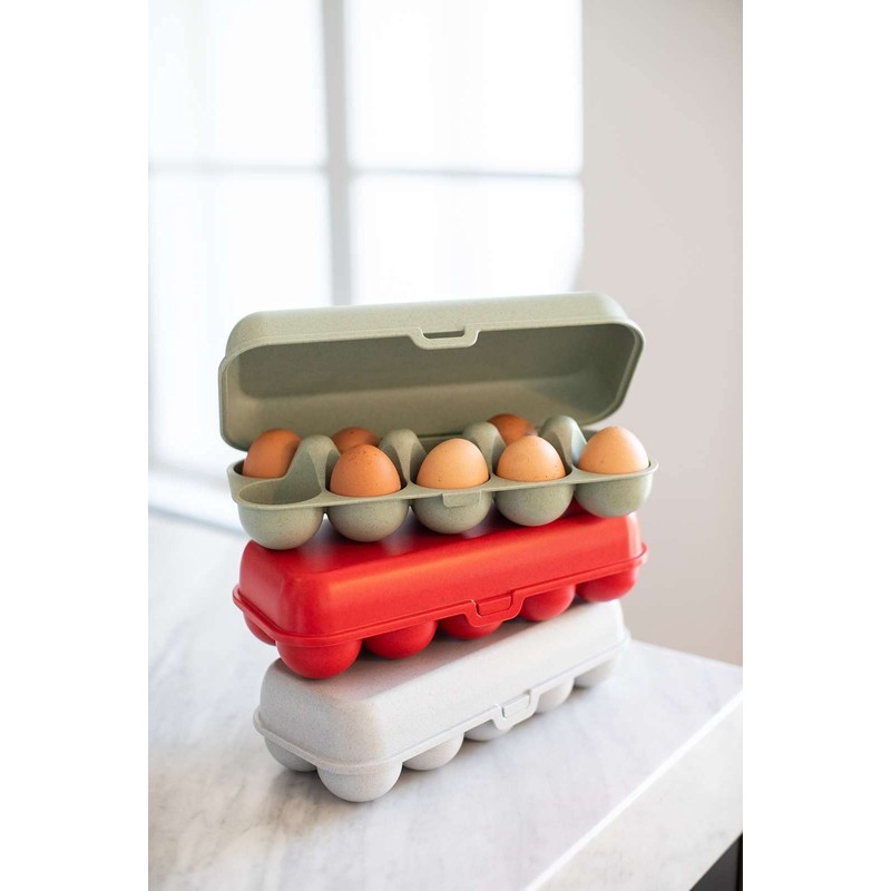 EGGS TO GO egg box Green