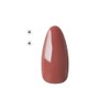 Dna Gel Color Gel N37 2.5g Apricot Bloom