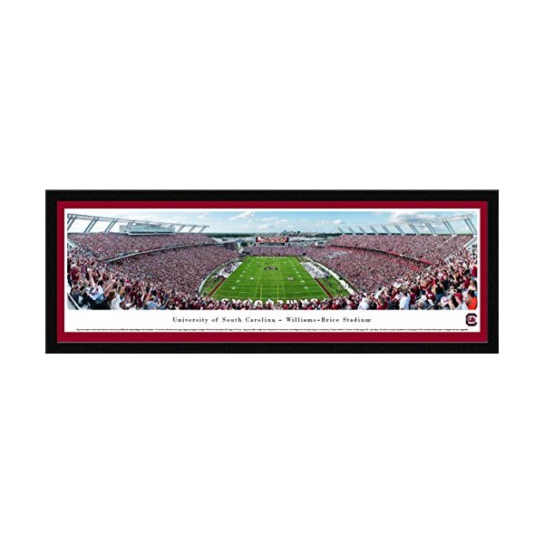 South Carolina Football End Zone - 42x15.5-inch Single Mat, Select Framed Picture by Blakeway Panoramas