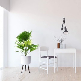 10" Indoor Mid-Century Indoor Tall Planter Pot with Stand, Medium, White