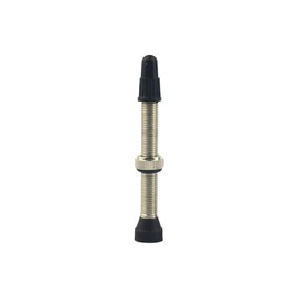 AIXXCUVQ Brass Valve Stem Tubeless Tire Valves Rustproof Waterproof Bikes Air Nozzle Wear-Resistant Removable Valves Caps, 48mm