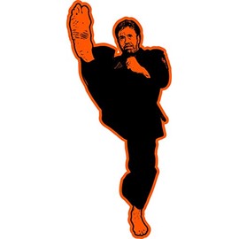 Chuck Norris Kicks Everything Decal/Sticker 5" X 2"