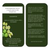 Shampoo Alquitrán De Hulla Y Aceite Esencial De Bergamota