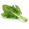 Swiss Chard Seeds - Japanese Umaina - 4 g Packet