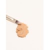 [Spots and Trouble Marks] The Tool Lab 222 Classic Corrector