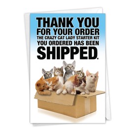 NobleWorks, Funny Happy Birthday Card with Envelope - Colorful Humor Note Card Greeting - Cat Lady Starter Kit 8016Z