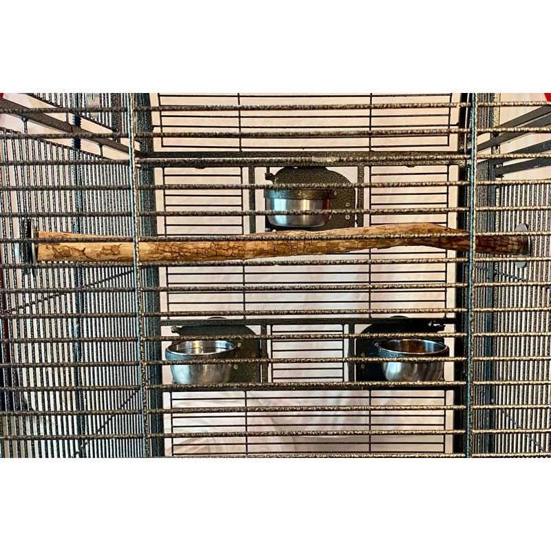 Polly's Full Length Hardwood Bird Perch, 28-Inch