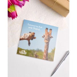 UK Greetings Birthday Card for Him/Her/Friend - Giraffe Design