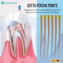 004 Dental Grade Gutta Percha Points #20 by VASTMED | Dental Endo Endodontic Special Taper