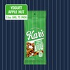 Kar’s Nuts Yogurt Apple Nut Trail Mix, 1.5 oz –