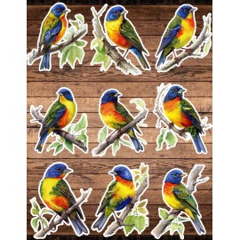 Unbranded Painted Bunting Bird Die Cut Vinyl Stickers Scrapbooking Laptop Waterbottle